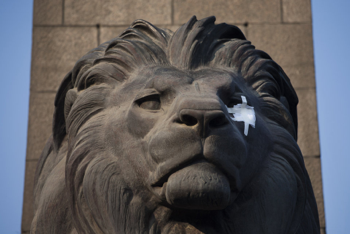 lion-eyepatch2.png