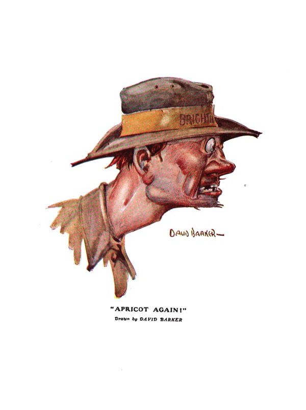 The_Anzac_Book1916-PlateS-600.jpg