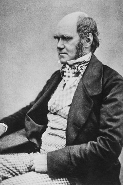 455px charles darwin seated crop
